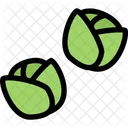 Brussels Sprouts Vegetables Icon