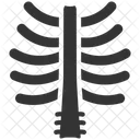 Brustbein  Symbol