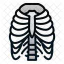 Rippen Mensch Organ Symbol