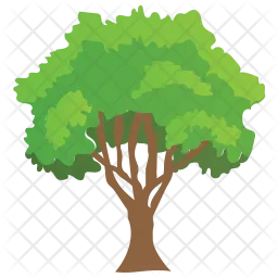 Buck thorn Tree  Icon