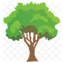 Growing Columnar Buckthorn Icon