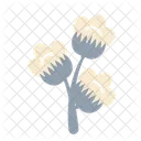 Bud  Icon