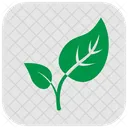 Bud Leaves  Icon