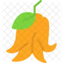 Buddha s hand citron  Icon