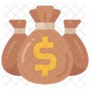 Budget Money Bag Icon