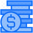 Budget Money Coin Icon