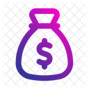 Budget Money Bag Money Icon