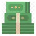 Budget Money Cash Icon