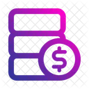 Budget Coin Money Icon