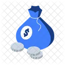 Budget Cash Money Icon