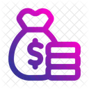 Budget Cost Money Bag Icon