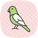 Budgie Bird Pet Icon