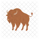 Buffalo Bison Animal Icon