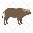 Buffalo Animal Cow Icon
