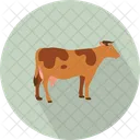 Buffalo  Icon