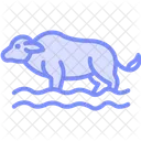 Buffalo in water  Icon