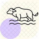Buffalo In Water Buffalo Water Icon