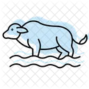Buffalo in water  Icon
