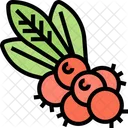 Buffaloberry Berry Buffaloberry Berry Symbol
