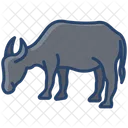 Buffello Animal Wildlife Icon