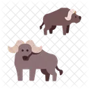 Buffalo Des Animaux La Faune Icône