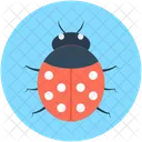 Bug Insect Animal Icon