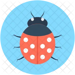 Bug  Icon