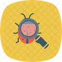 Bug Bugsearch Bugtracking Icon