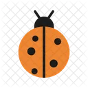 Bug Beatle Insect Icon