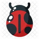 Bug Insect Spring Icon