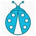 Bug Animal Insect Icon