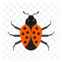 Bug Animal Wildlife Icon