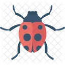 Bug Fly Insect Icon