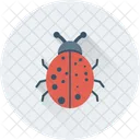 Bug Malware Ladybird Icon
