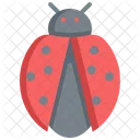Bug Ladybug Animal Icon