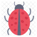 Bug Virus Error Icon