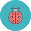 Bug Ladybug Spring Icon