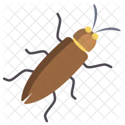 Bug  Icon