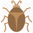 Bug Boxelder Bug Insect Icon