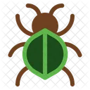 Bug Pest Insect Icon