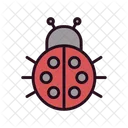 Bug Beetle Ladybug Icon