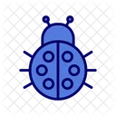 Bug Beetle Ladybug Icon