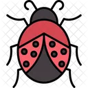 Bug Ladybird Ladybug Icon