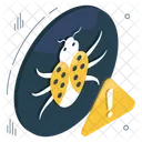 Bug Error  Icon