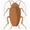 Bug Cockroach Insect Icon