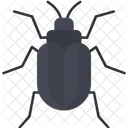 Bug  Icon