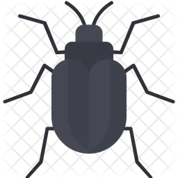 Bug  Icon