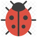 Bug  Icon