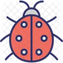 Bug  Icon