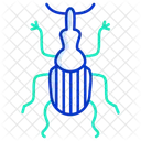 Bug  Icon